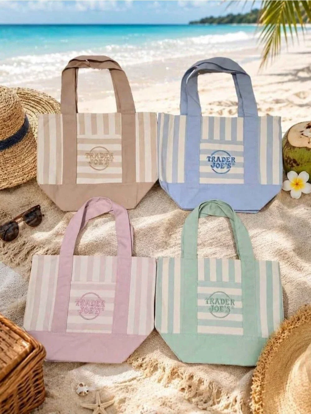 Set Of 4 striped Trader Joe's Canvas Tote Bag — Green,blue,pink & Tan